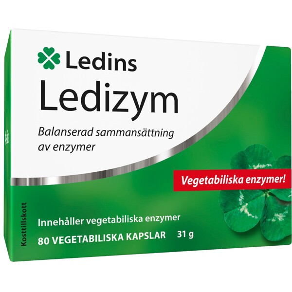 Ledins Ledizym