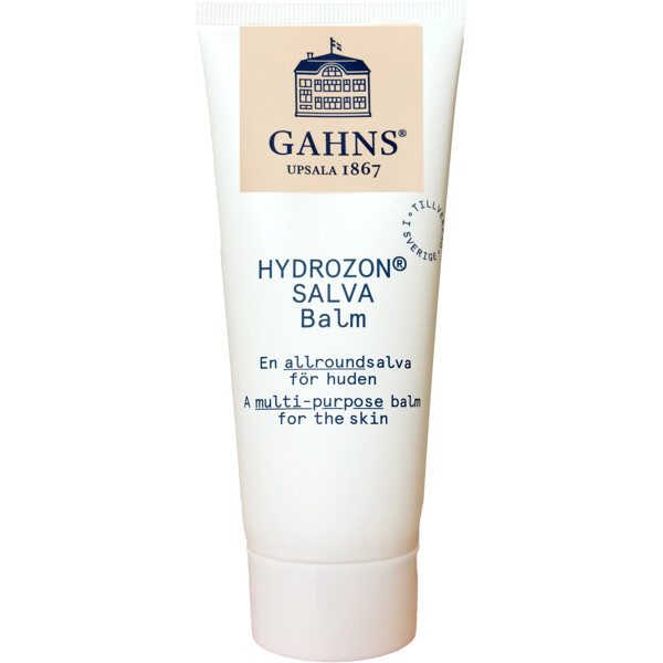 Hydrozonsalva Hudsalva