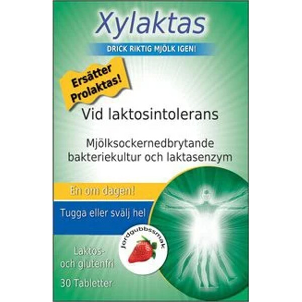 Xylaktas
